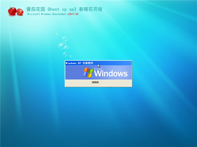 ѻ԰ Ghost XP SP3 ů v2017.03